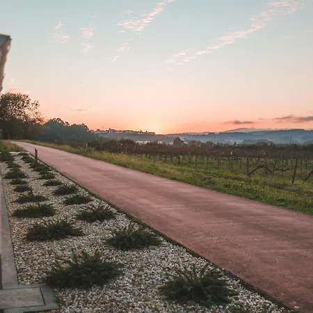 Pensión Alma Candida 16 3*